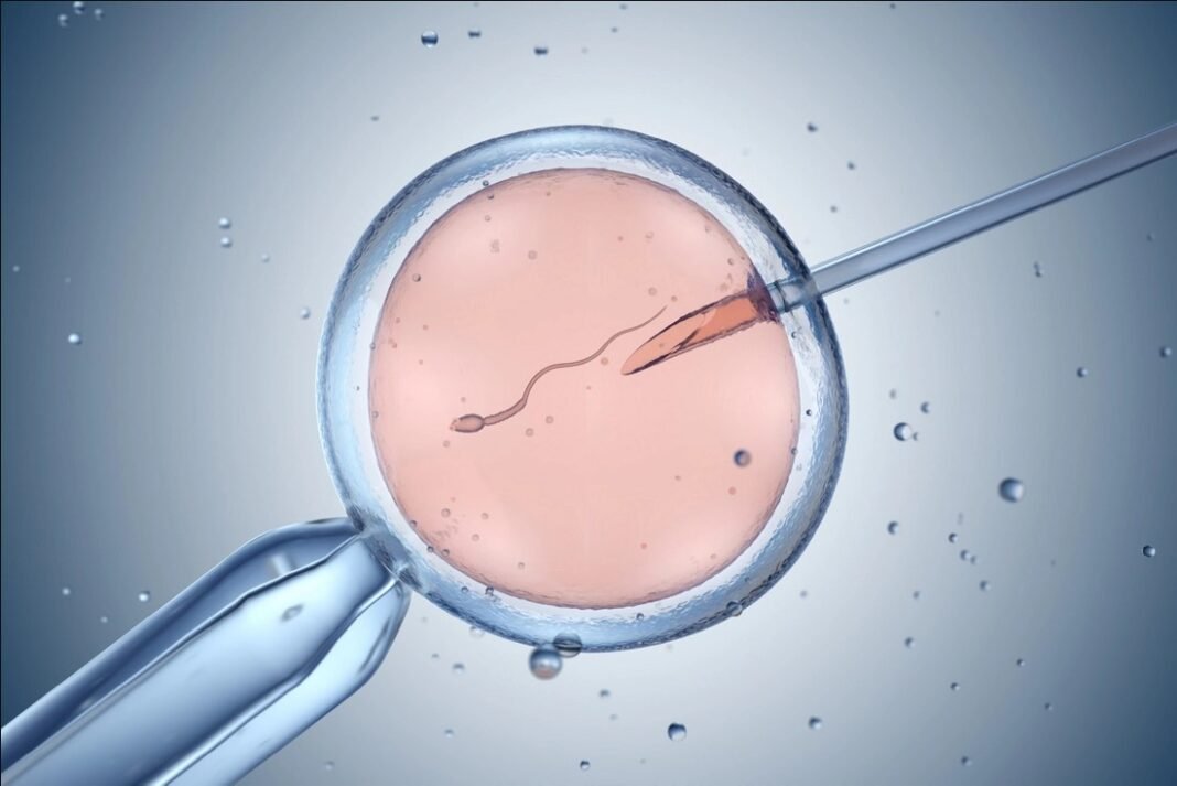 What Is Blocking Your Path To Pregnancy? Primary Causes And Proven Fertility Solutions.